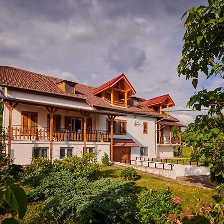 Vila Tara Hategului Luaran gambar