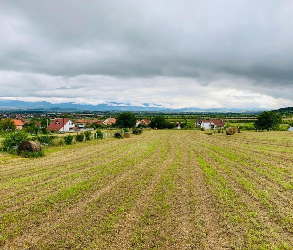 Vila Tara Hategului Luaran gambar